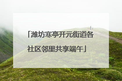 潍坊寒亭开元街道各社区邻里共享端午