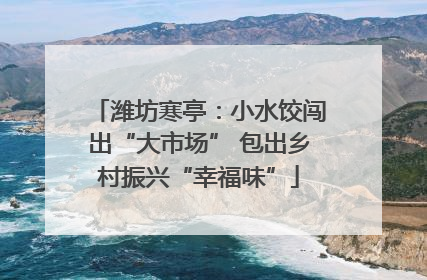 潍坊寒亭：小水饺闯出“大市场” 包出乡村振兴“幸福味”