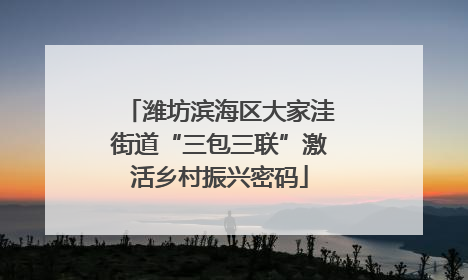 潍坊滨海区大家洼街道“三包三联”激活乡村振兴密码