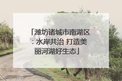 潍坊诸城市南湖区：水岸共治 打造美丽河湖好生态