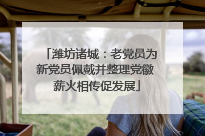潍坊诸城：老党员为新党员佩戴并整理党徽 薪火相传促发展