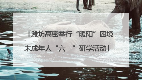 潍坊高密举行“暖阳”困境未成年人“六一”研学活动