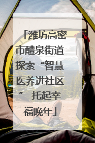 潍坊高密市醴泉街道探索“智慧医养进社区” 托起幸福晚年