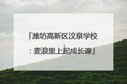 潍坊高新区汶泉学校：麦浪里上起成长课