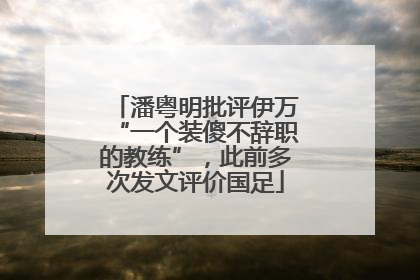 潘粤明批评伊万“一个装傻不辞职的教练”，此前多次发文评价国足