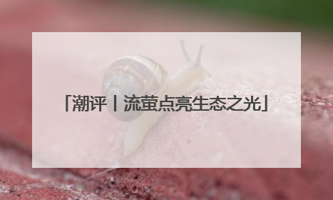 潮评丨流萤点亮生态之光