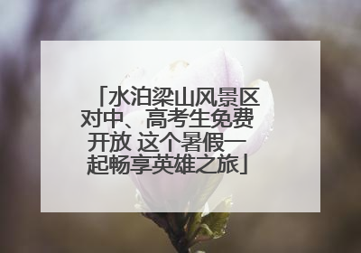 水泊梁山风景区对中、高考生免费开放 这个暑假一起畅享英雄之旅