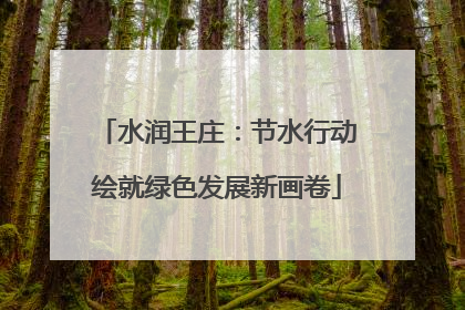 水润王庄：节水行动绘就绿色发展新画卷