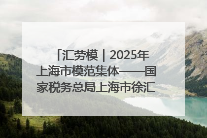 汇劳模｜2025年上海市模范集体——国家税务总局上海市徐汇区税务局第一税务所