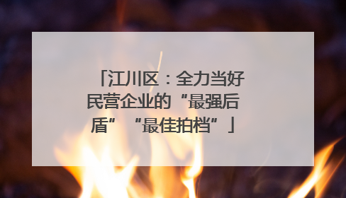 江川区：全力当好民营企业的“最强后盾”“最佳拍档”