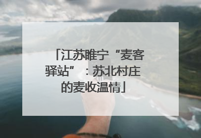 江苏睢宁“麦客驿站”：苏北村庄的麦收温情