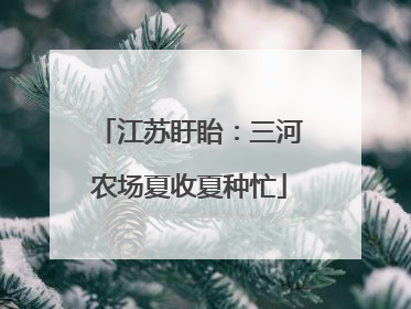 江苏盱眙：三河农场夏收夏种忙