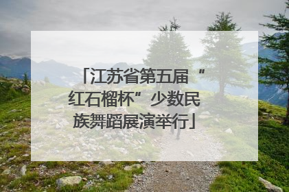 江苏省第五届“红石榴杯”少数民族舞蹈展演举行