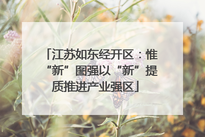 江苏如东经开区：惟“新”图强以“新”提质推进产业强区