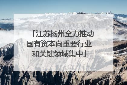 江苏扬州全力推动国有资本向重要行业和关键领域集中