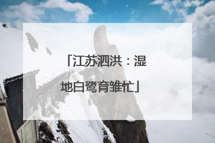 江苏泗洪：湿地白鹭育雏忙