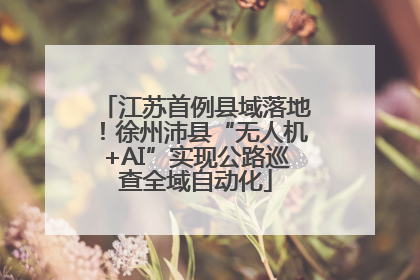江苏首例县域落地！徐州沛县“无人机+AI”实现公路巡查全域自动化