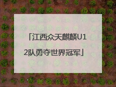 江西众天麒麟U12队勇夺世界冠军