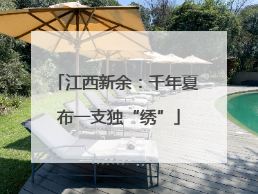 江西新余：千年夏布一支独“绣”
