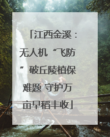 江西金溪：无人机“飞防”破丘陵植保难题 守护万亩早稻丰收