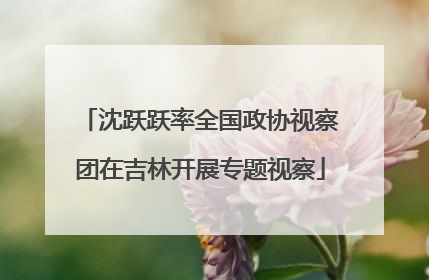 沈跃跃率全国政协视察团在吉林开展专题视察