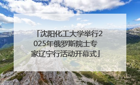 沈阳化工大学举行2025年俄罗斯院士专家辽宁行活动开幕式