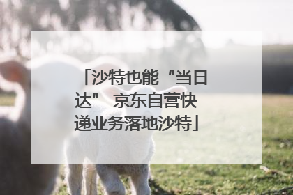 沙特也能“当日达” 京东自营快递业务落地沙特