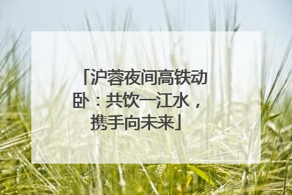 沪蓉夜间高铁动卧：共饮一江水，携手向未来