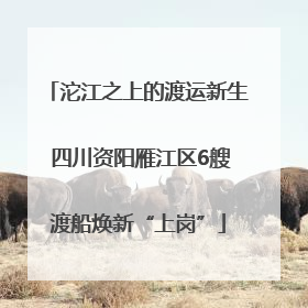 沱江之上的渡运新生 四川资阳雁江区6艘渡船焕新“上岗”