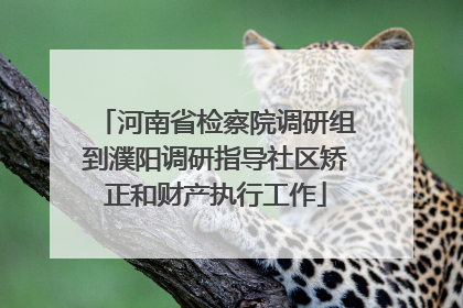 河南省检察院调研组到濮阳调研指导社区矫正和财产执行工作