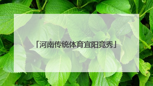 河南传统体育宜阳竞秀