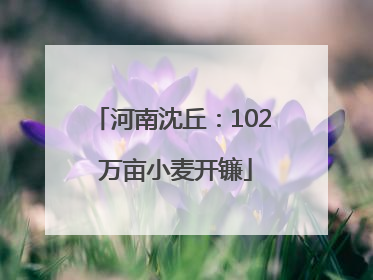 河南沈丘：102 万亩小麦开镰