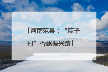 河南范县：“粽子村”香飘振兴路