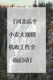 河北省冬小麦大规模机收工作全面启动