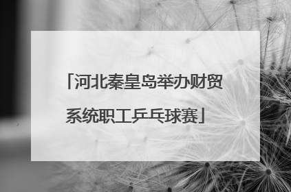 河北秦皇岛举办财贸系统职工乒乓球赛