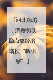 河北廊坊：消费势头稳点燃经济增长“新引擎”