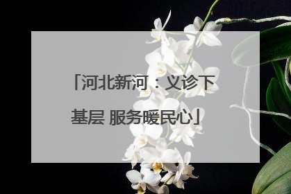 河北新河：义诊下基层 服务暖民心