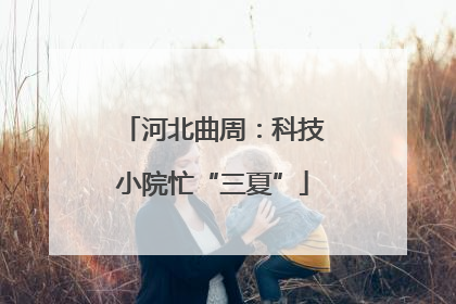 河北曲周：科技小院忙“三夏”