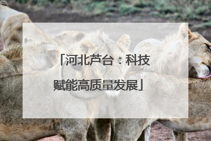 河北芦台：科技赋能高质量发展