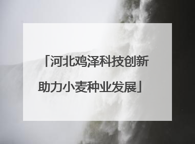 河北鸡泽科技创新助力小麦种业发展