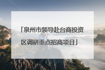 泉州市领导赴台商投资区调研重点招商项目