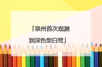 泉州首次观测到深色型白鹭