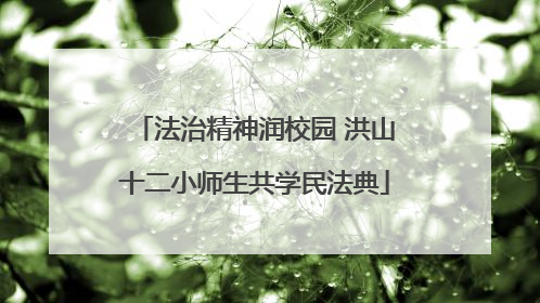 法治精神润校园 洪山十二小师生共学民法典