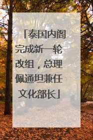 泰国内阁完成新一轮改组，总理佩通坦兼任文化部长