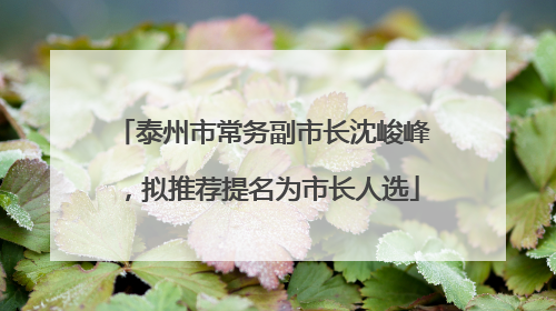 泰州市常务副市长沈峻峰，拟推荐提名为市长人选