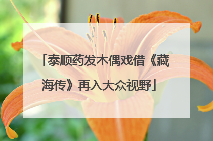 泰顺药发木偶戏借《藏海传》再入大众视野