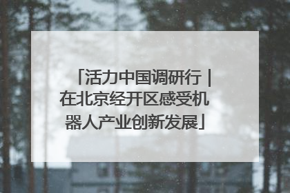 活力中国调研行｜在北京经开区感受机器人产业创新发展