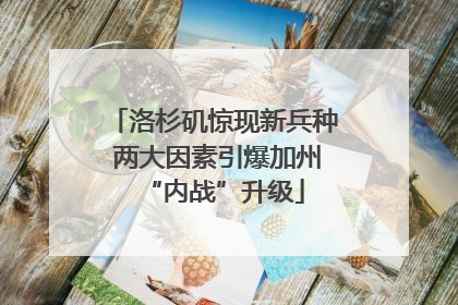 洛杉矶惊现新兵种 两大因素引爆加州“内战”升级