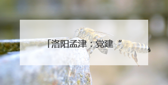 洛阳孟津：党建“绣花针”穿起基层治理“千条线”