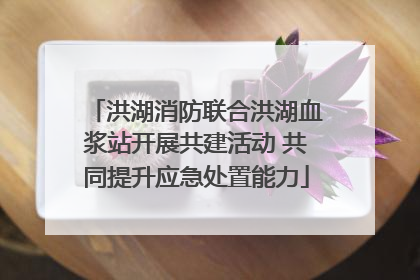 洪湖消防联合洪湖血浆站开展共建活动 共同提升应急处置能力